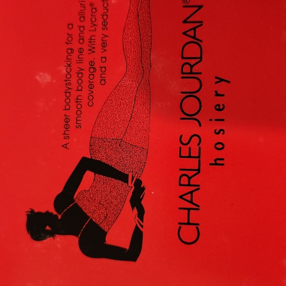 CHARLES JORDAN BODYSTOCKING - Picture 3 of 6